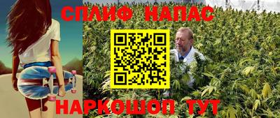 прущие грибы Ирбит